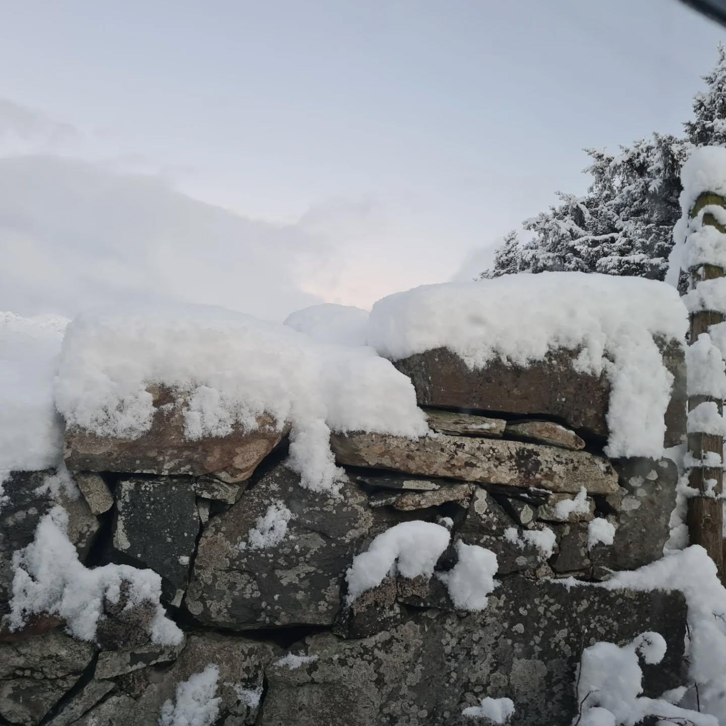Stone wall in snow