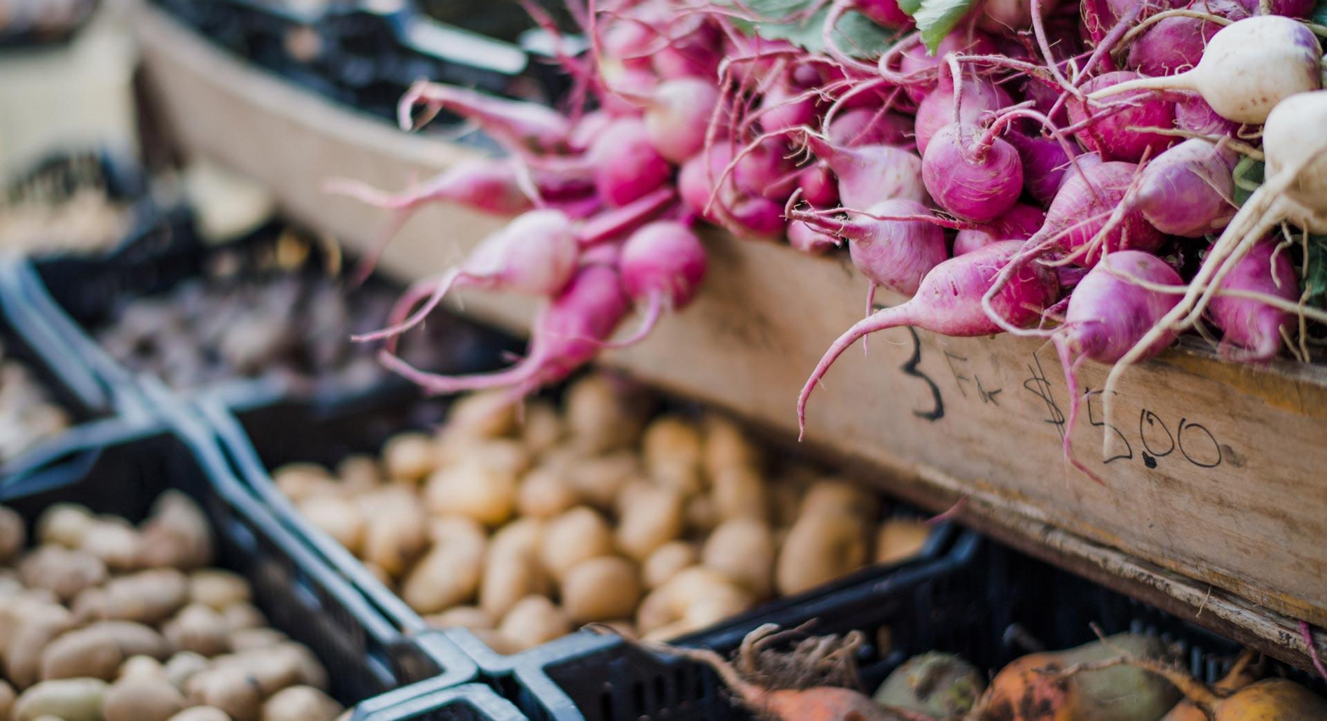Castle Peak Views farm